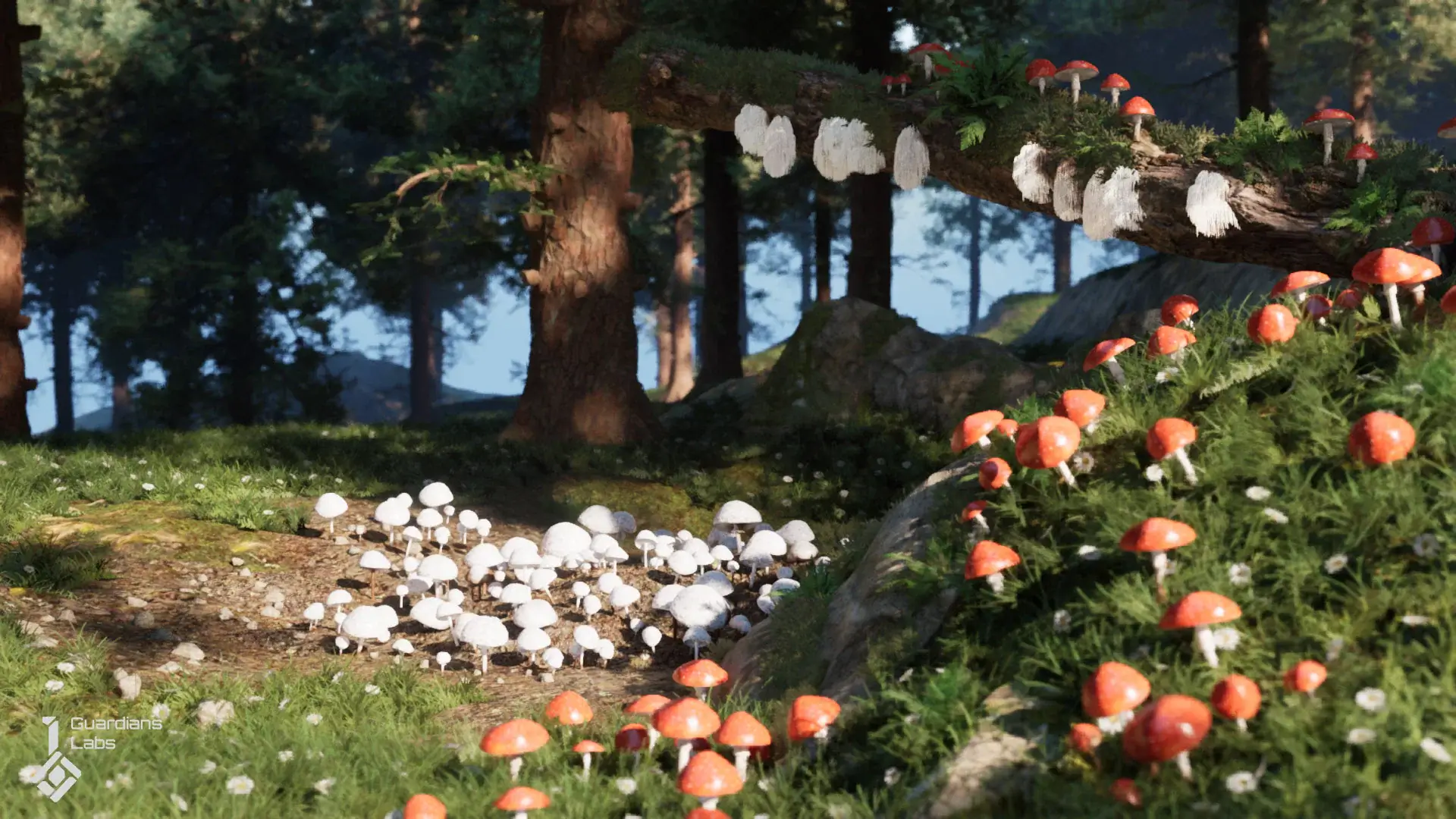 【UE5】森林真菌-蘑菇包 – Forest Fungi – Mushroom Pack