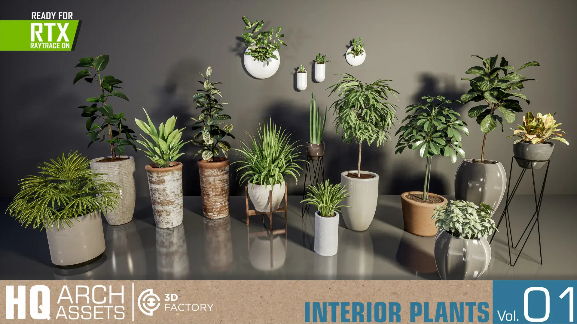 【UE4/5】室内植物盆栽-HQ Plants Vol.1 ( Interior Plants )