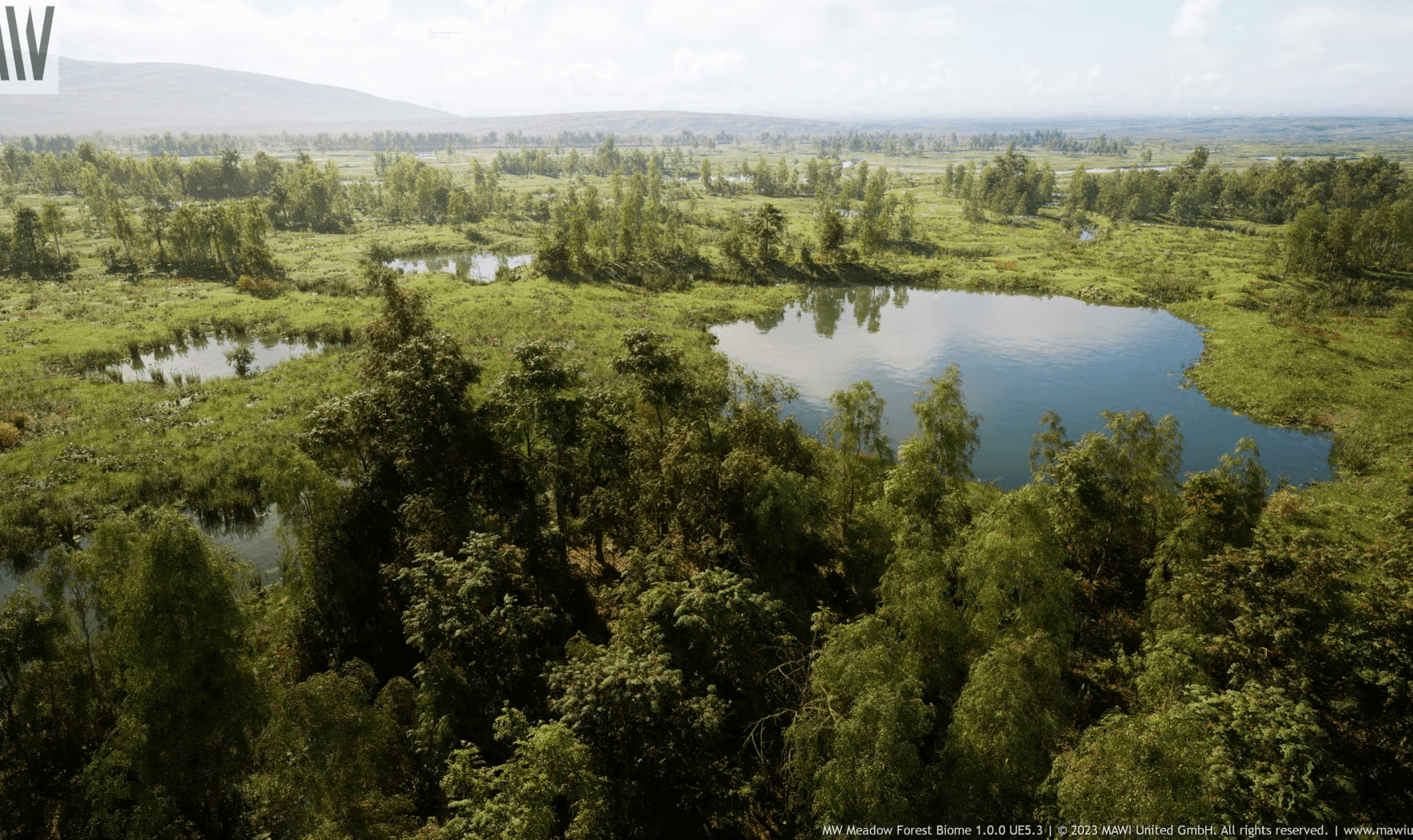 【UE5】MW 草地森林树木生物群系-MW Meadow Forest Trees Biome